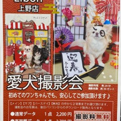 愛犬撮影会のお知らせ！サムネイル